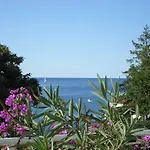 Vanda بيشكانا أوفالا